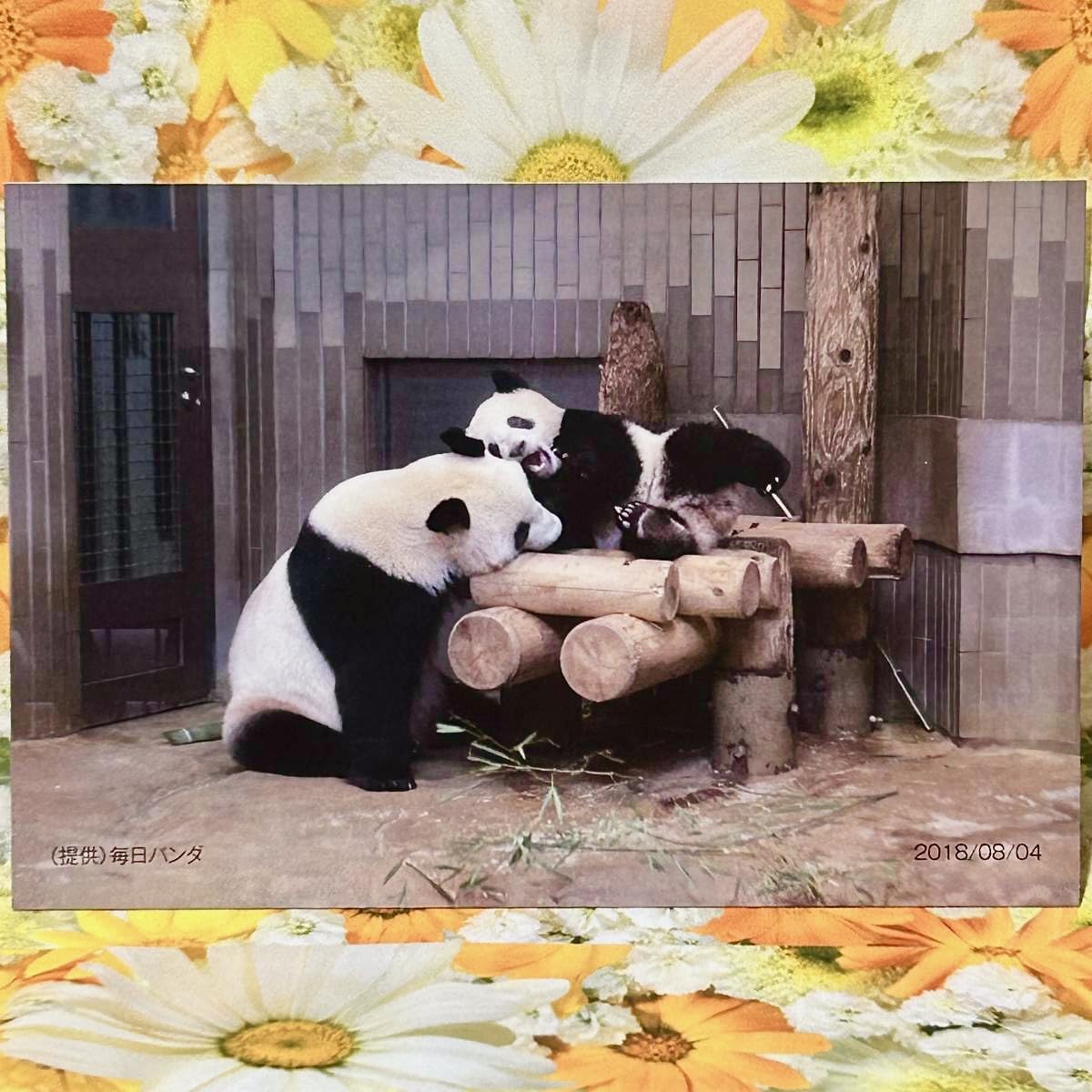 非売品 スタンプラリー パンダのフェイフェイ ホァンホァン ポスト