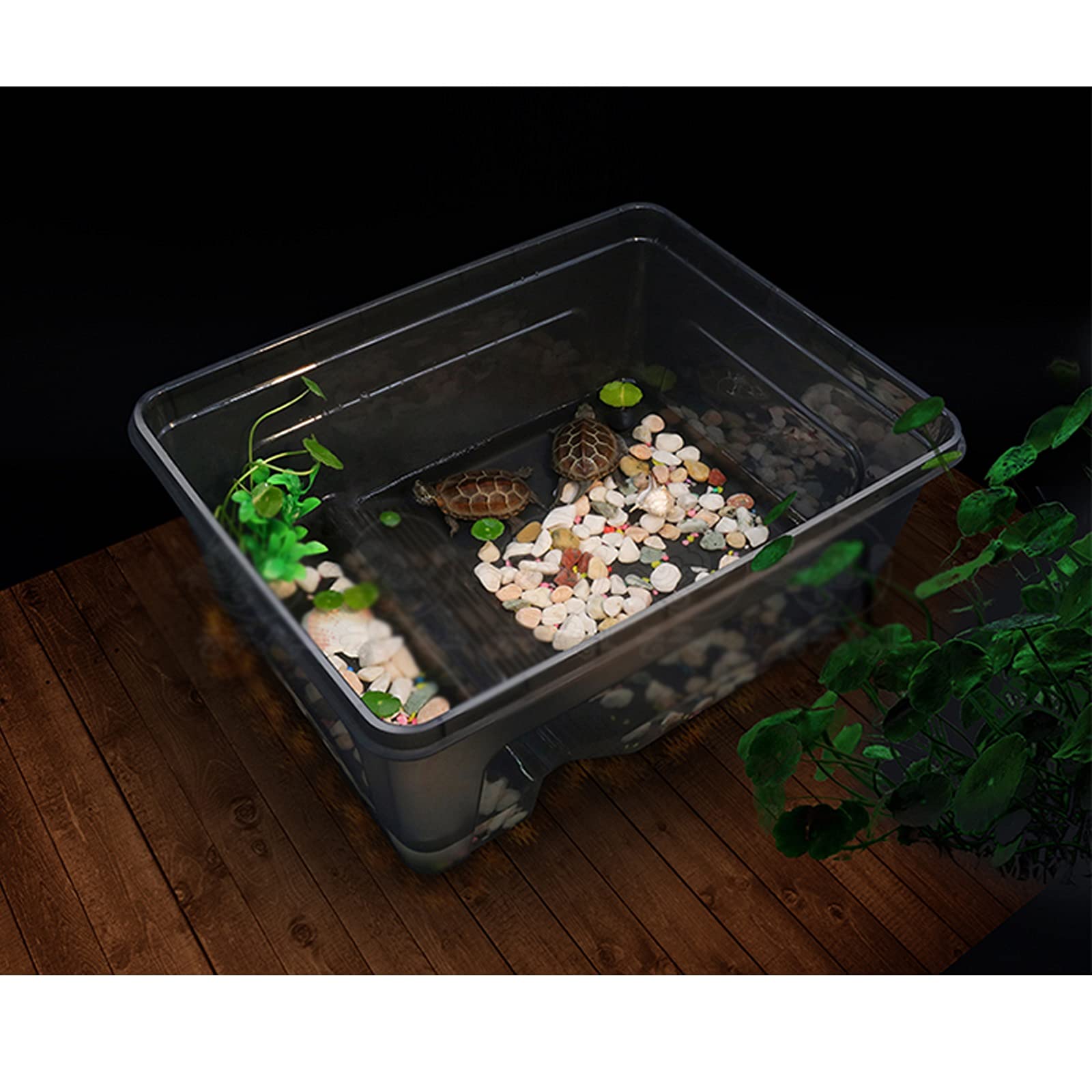 Serbatoio di tartaruga Tarcoise serbatoio con terrazza solarium anfibio tartaruga brasiliana guardando tartaruga serbatoio for tartaruga allevamento speciale tartaruga ecologica senza acqua per Intern