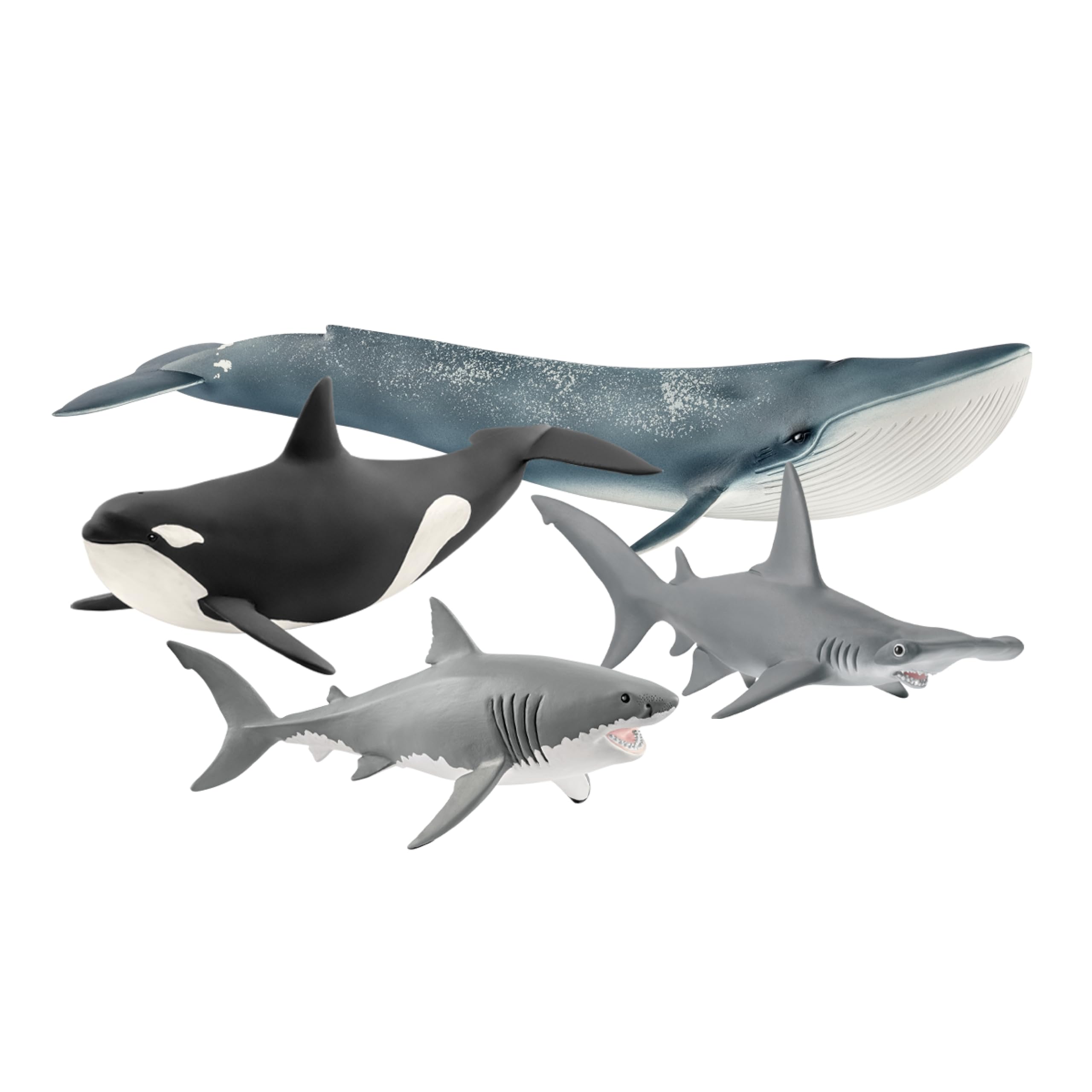 Amazon.com: Schleich Wild Life - 4PC Ocean Animal Figurine Playset