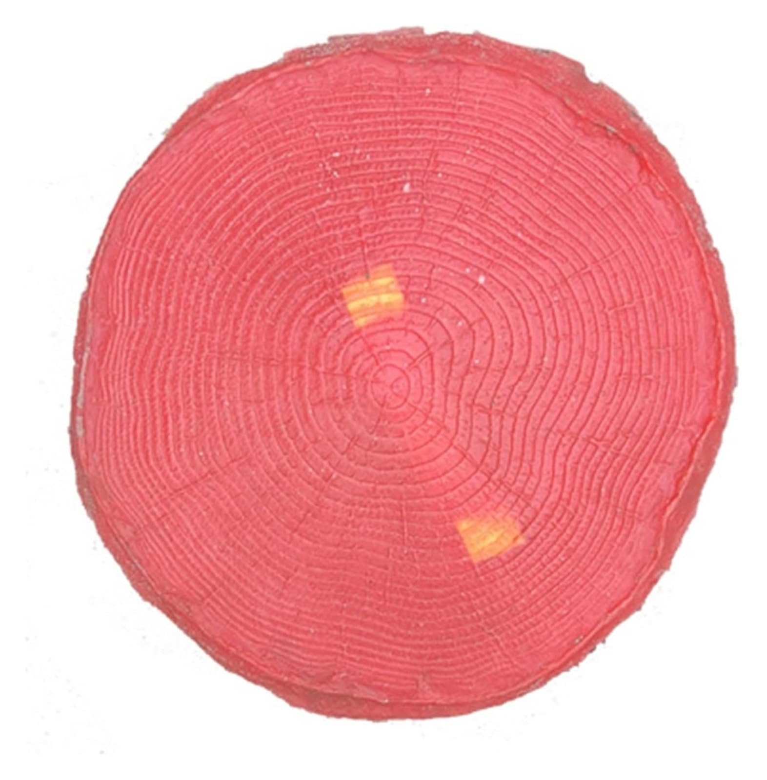Set di tappetini in Cemento Effetto Legno - Set da 5 Pezzi, con Texture Che riproducono ceppi d'albero e Cemento, Adatti al calcestruzzo, Perfetti per progetti Fai-da-Te in casa.