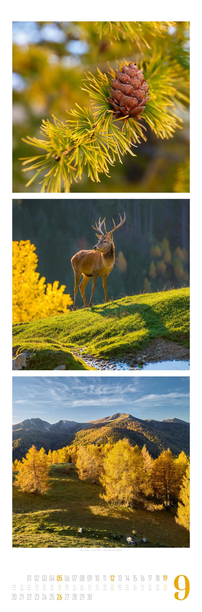 Nature Triplet-Kalender 2027 | Stilvoller Natur-Kalender im schlanken Hochformat (33x100 cm) | Triplet-Fotografie im Premium-Format