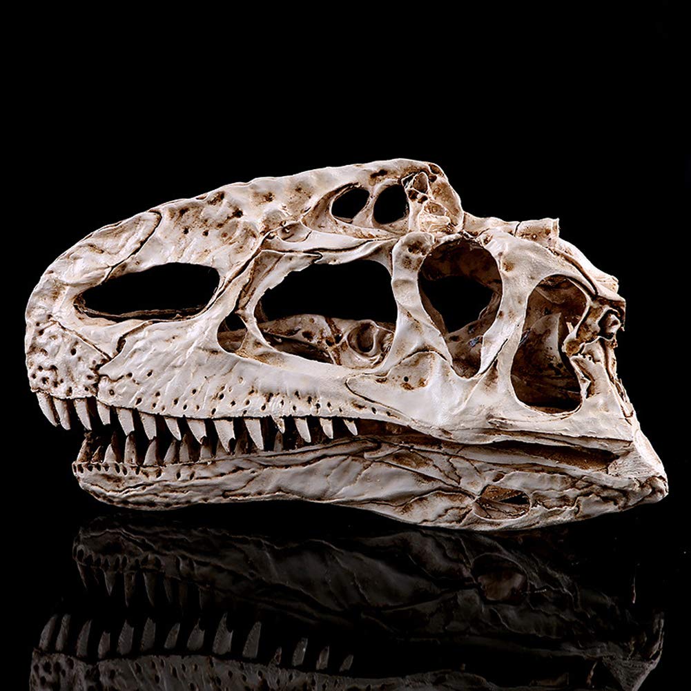 Model statua z żywicy ręcznie robiony dinozaur - edukacyjne zabawki naukowe, badania archeologiczne na zwierzętach, model nauczania anatomia