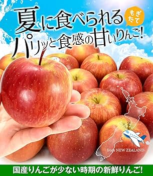 King &amp; Prince - りんご ニュージーランド産りんご🍎NZプリンスを食べてみたら、昔