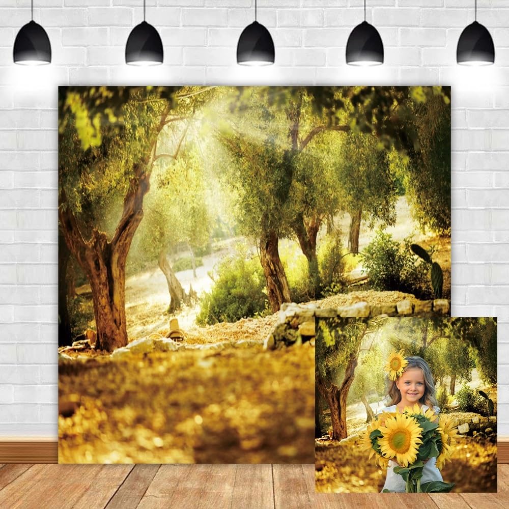 Leyiyi 10x10ft Natural Scenery Backdrop Olive Trees Sunshine Wonderland Dreamy Haze Blurred Background Stone Natural Forest Landscape Video Photo