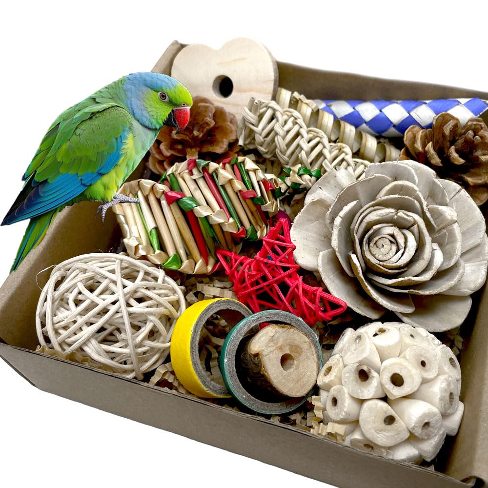 Natural Foraging Box Foot Toy: Essential Shredding and Chewing for Small to Medium Birds
