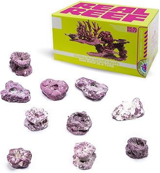 Frag Rock Medium 10 Pieces 3-4" - Reef-Safe Artificial Live Rock for Coral Fragging, Plug Mounting & Reef Aquascaping, Natural Coralline-Colored Frag Mounts