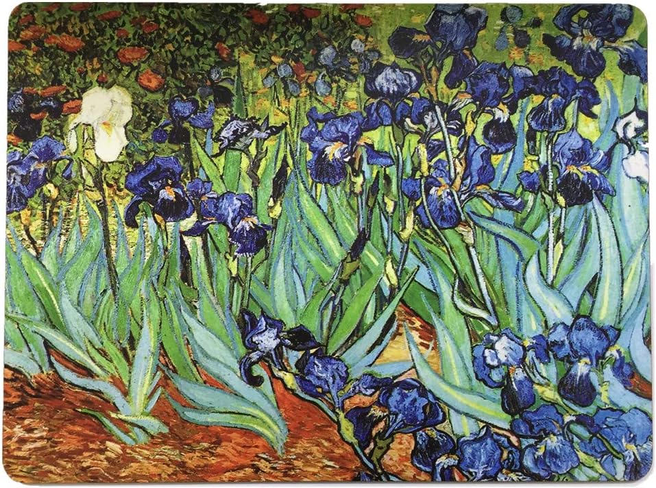 Cork Coaster, Insulation Oil Painting Table Mats for Dining/Kitchen Table Placemat Set of 2- 15.7 x 11.8 Inch