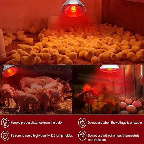 Miniatura 8 de Paquete de 2 bombillas de calor infrarrojo de 275 W E26, lámpara terapéutica de terapia de espalda, cuello, alivio del dolor corporal, lámpara de