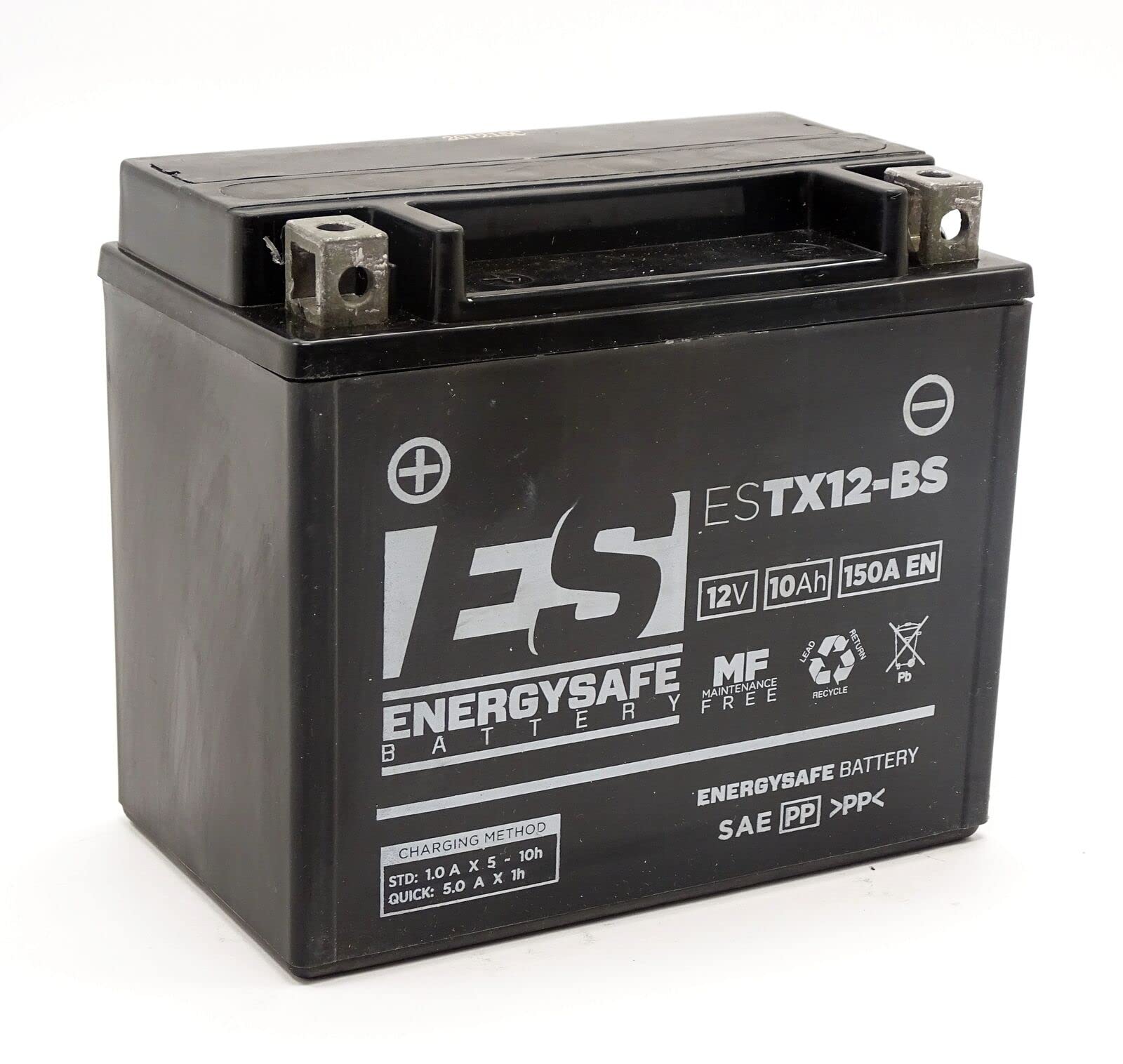 Batería Energysafe Estx12-Bs 12 V/10 Ah