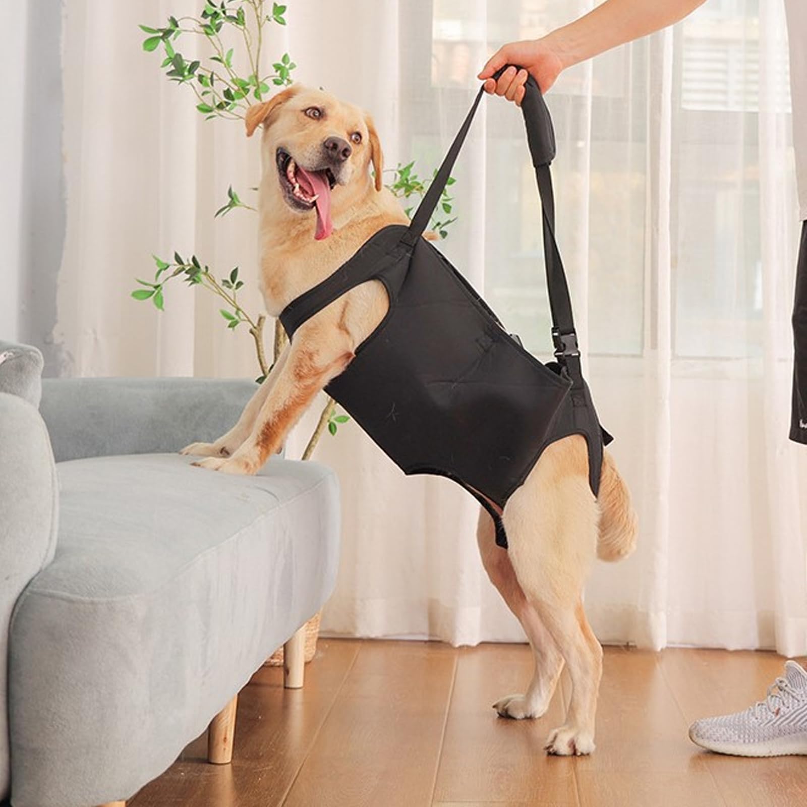 Tragehilfe für Hunde - Verstellbare Gehhilfe, Hebegeschirr für Hinterbeine, Hüftstütze Mit Griffen, Sicherheitsunterstützung für Behinderte, Verletzte oder Ältere Hunde (L)