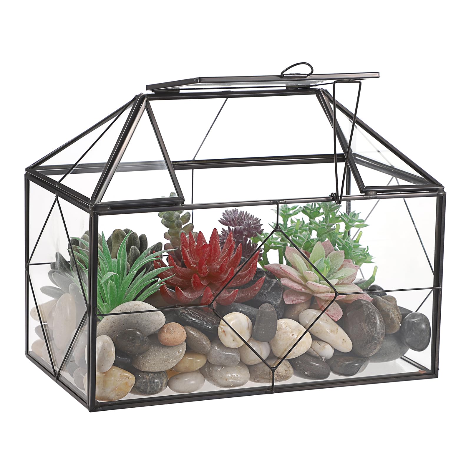 SUMTree Terrario de cristal negro para plantas con rejilla cuadrada, contenedor de musgo de jardín con tapa oscilante, caja de exhibición de plantas suculentas (rejilla cuadrada)