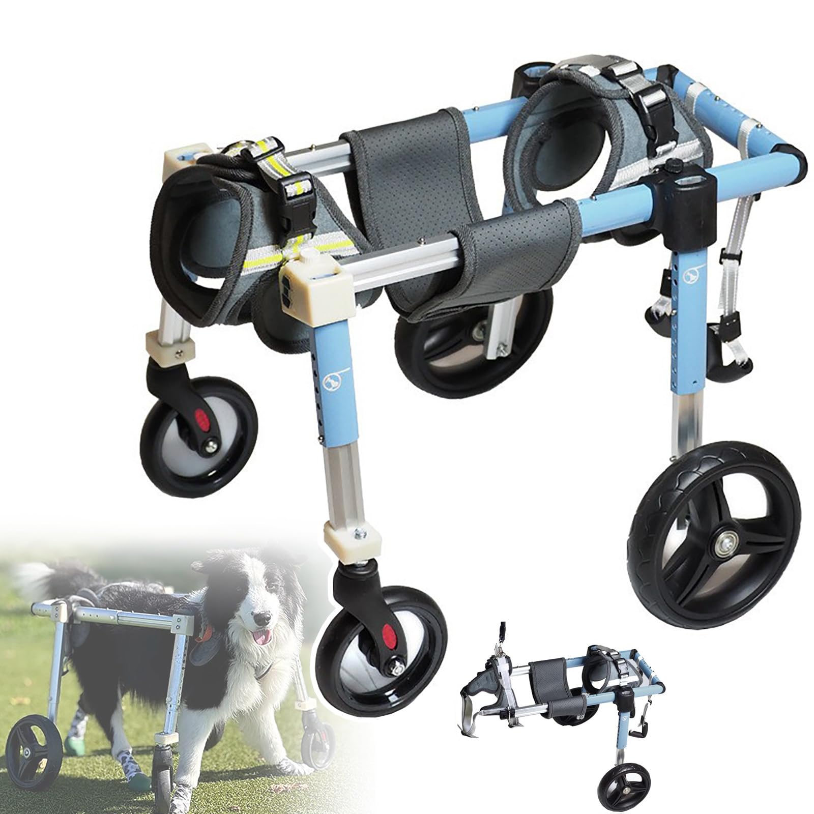 Fauteuil roulant pour chien contre la paralysie et arthrite du chien âgé
