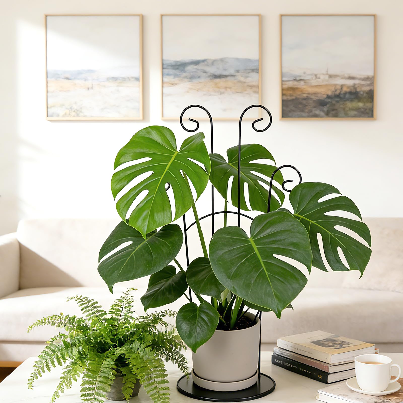 Traliccio da giardino per piante rampicanti, 2 tralicci in metallo per piante in vaso per interni ed esterni, pali di supporto espandibili e robusti per piante rampicanti Monstera Ivy Pothos