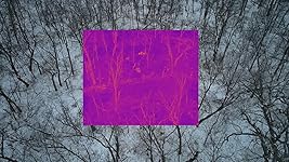 Review Image by Jgirl