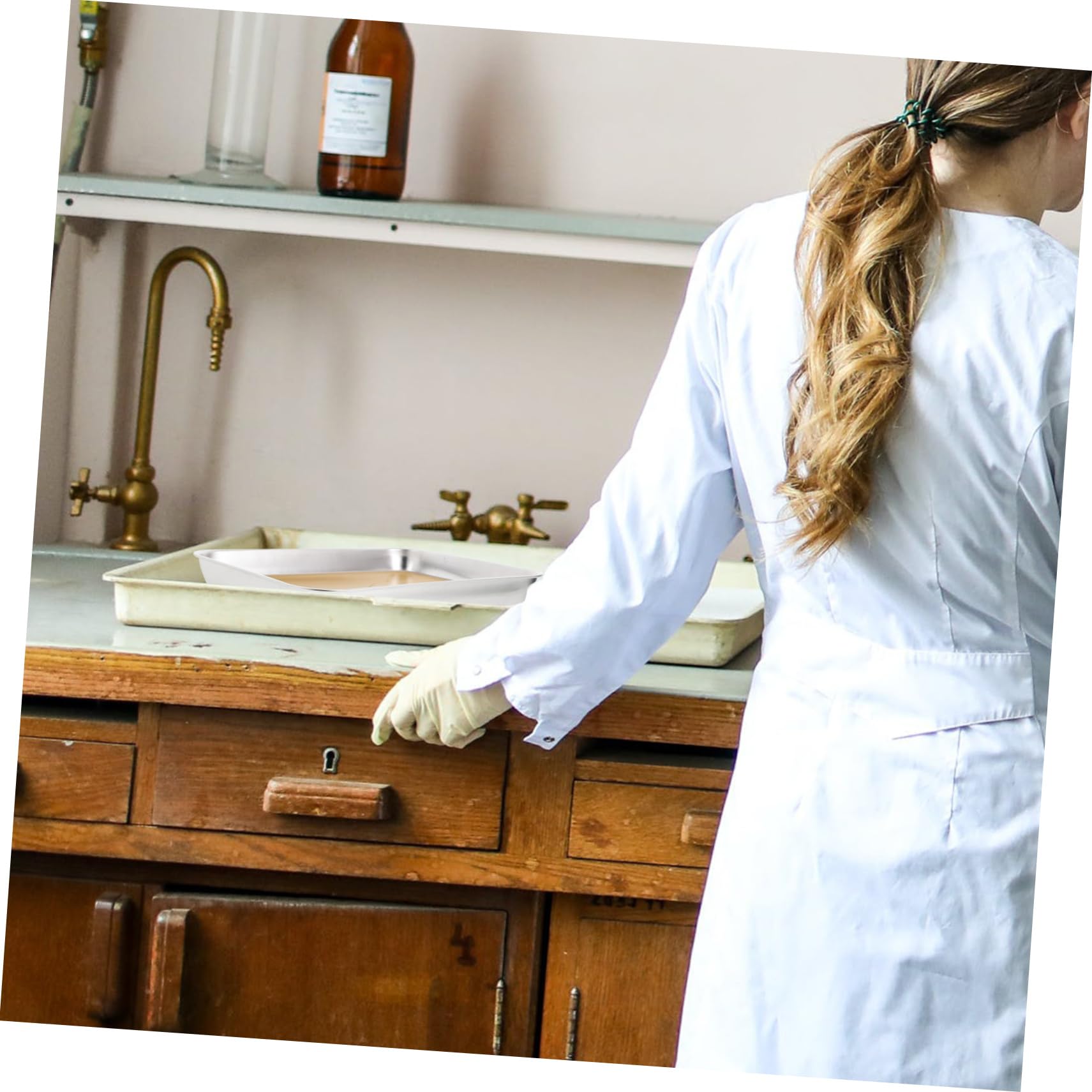 Vassoio Di Dissezione in Metallo Inossidabile Con Cera Vaschetta Per Dissezione Da Laboratorio Strumento Didattico Per Studenti Di Biologia Scuole Medie e Superiori