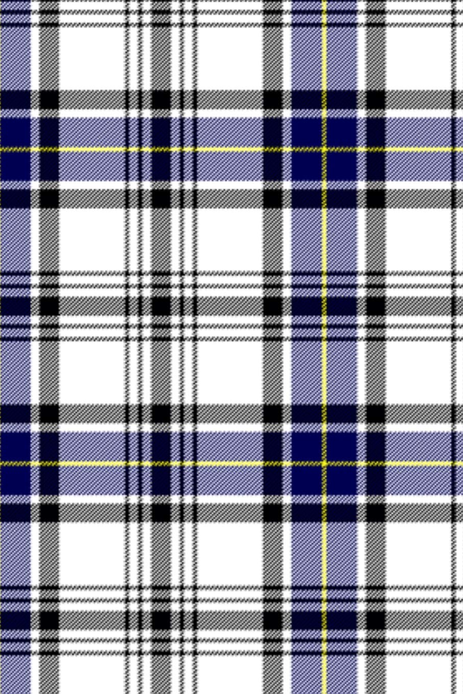 Clan Hannay Tartan Journal/Notebook