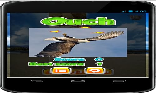 Fly Eagles Vision Arcade Game – vue 2