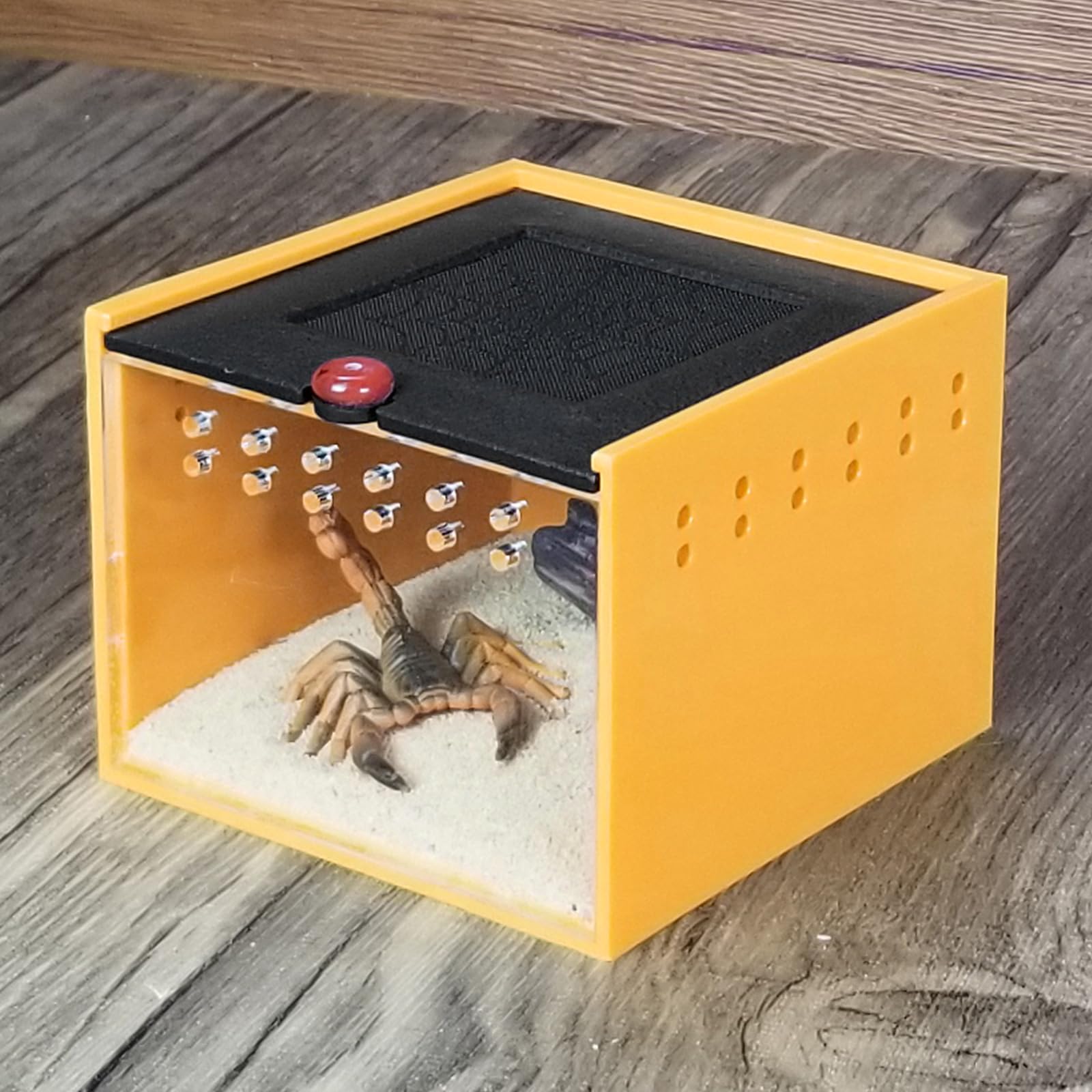 Wedoelsim Small Insect Clear Viewing Degree Jumping Spider Enclosure - Convenient Feeding and Peace of Mind - Colorful Design - Suitable for Spiders and Small Insects - Ventilated Terrarium