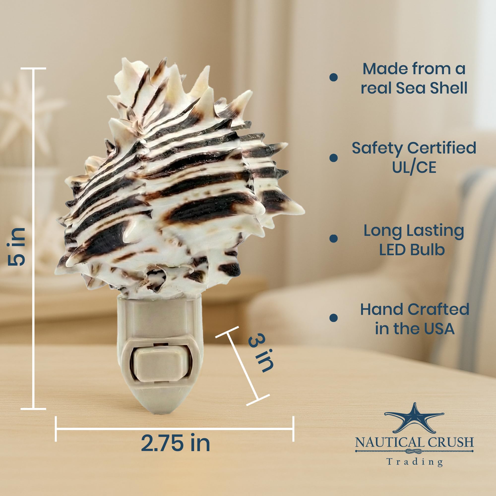 Seashell Night Light – Black Murex Nautical NightLight – Shell
