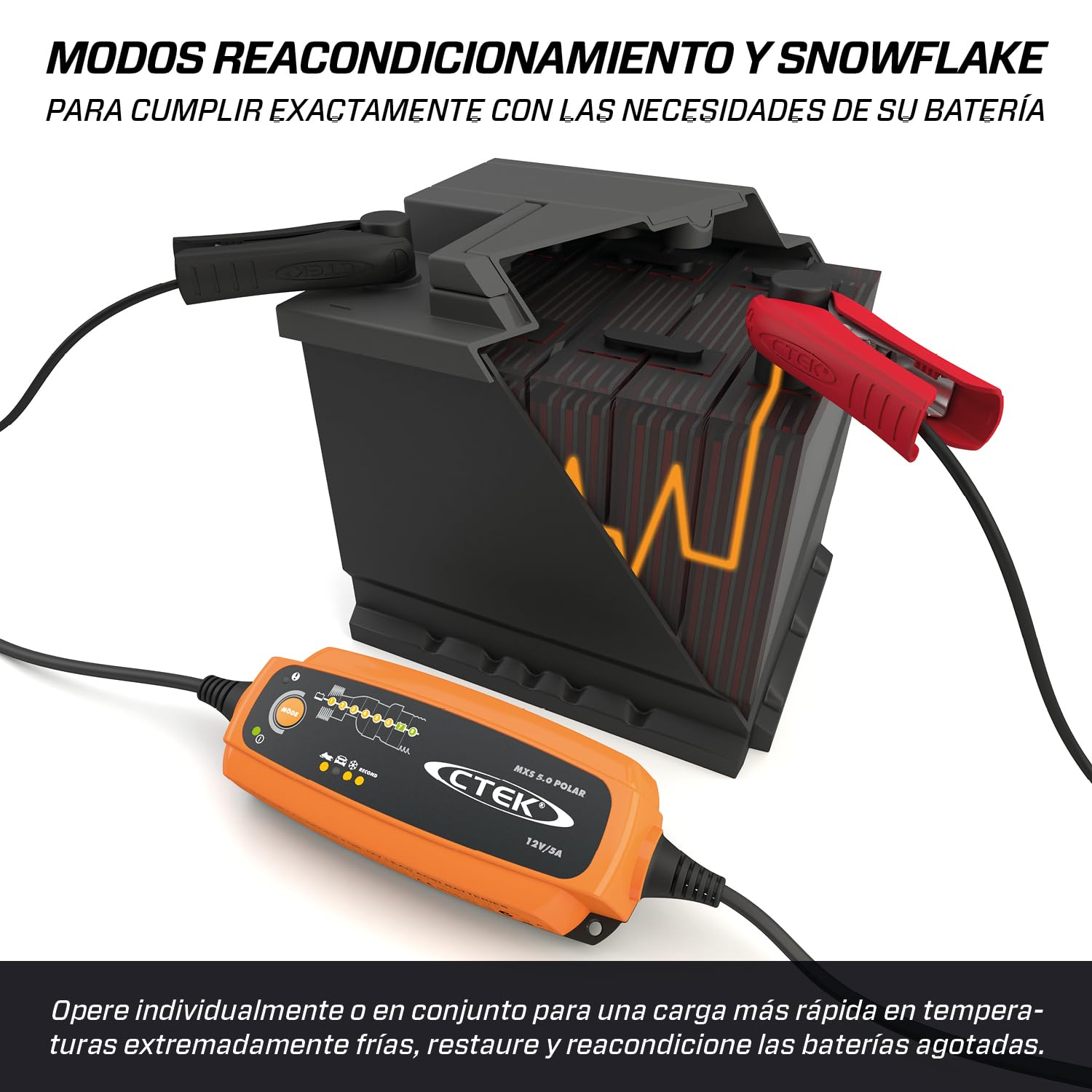 CTEK MXS 5.0 Polar Cargador Batería 12V 5A, para Frío Extremo, Cargador Inteligente Baterias, Cargador De Batería De Coche Y Motonieve, Mantenedor Y Desulfatador De Batería con Opción AGM Dedicada