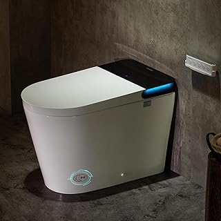 Casta Smart Toilet with Bidet and Auto Flush