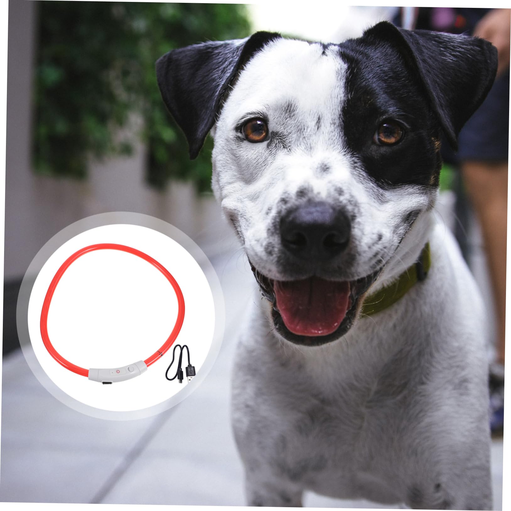 BESPORTBLE 3piezas Collar Led Recargable para Collar USB Diseño para Cachorros y Pequeñas