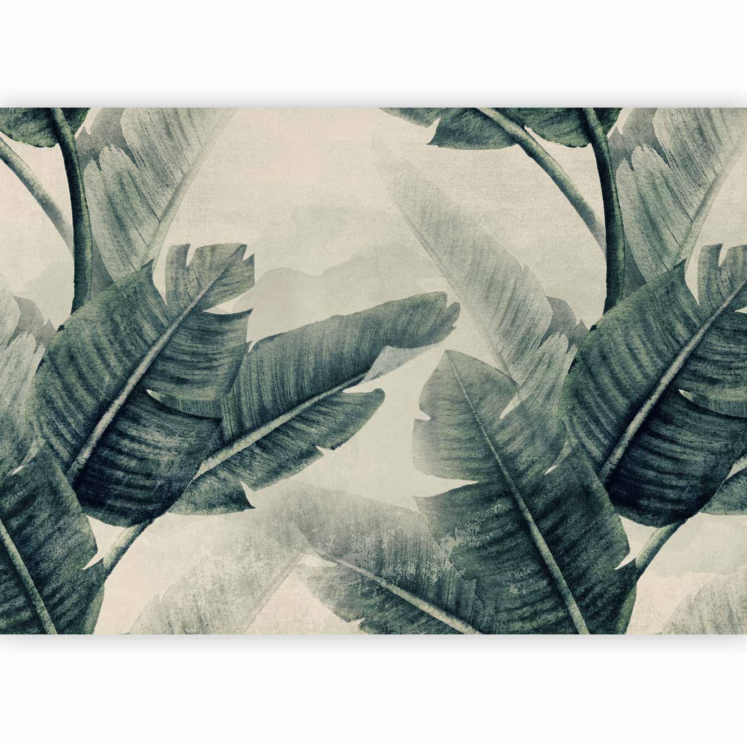 murando Photo Wallpaper Tropical Leaves 200x140 cm / 78.7" x 55.1" Non-Woven Premium Art Print Fleece Wall Mural Decoration Poster Picture Design Modern Plants Jungle Nature Like Painted b-C-0952-a-b โ image 1