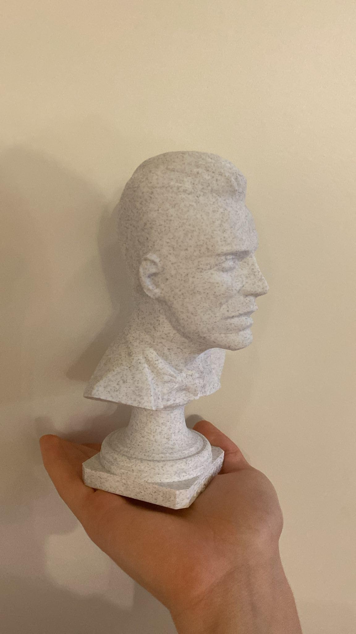 Busto 3D Personalizzato in Materiale Atossico, Stampa 3D di Persone e Animali, 20 x 20 x 35 cm, Bianco