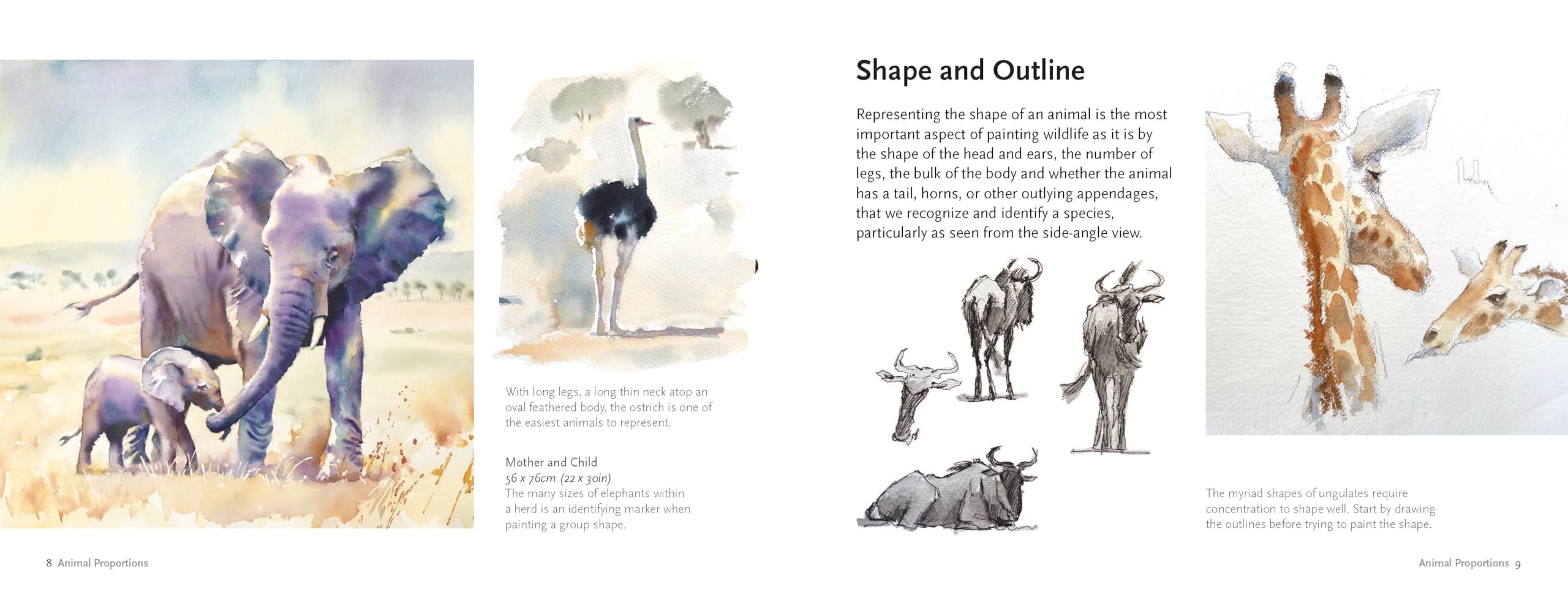 Learn to Paint Wildlife Quickly