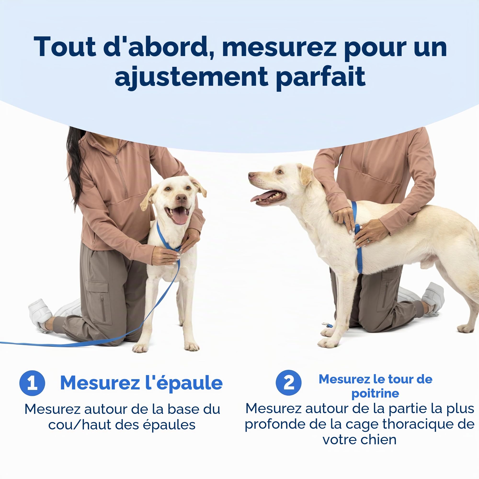 PetSafe Easy Walk Harnais Confortable Anti-Traction pour Chien Rembourrage intégral – Meilleure Marche Lors de la première Utilisation – 5 Points de réglage M/L – Vert