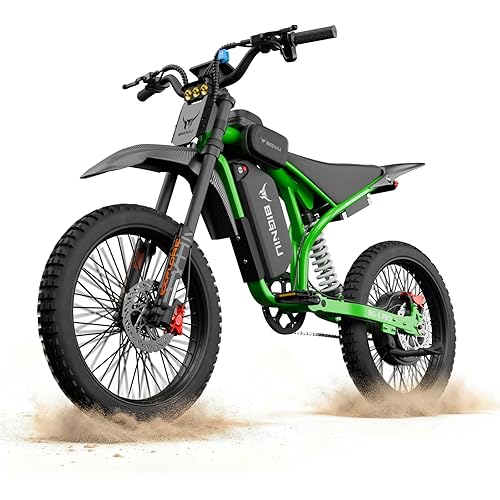 BIGNIU Off-Road Ebike, Electric Dirt Bike Electric Bike for Adults with 3000W Peak Motor, 60V 32Ah Battery, 19x2.1 Fat Tires, Removable Battery, E Bike for Teens, City Riding
