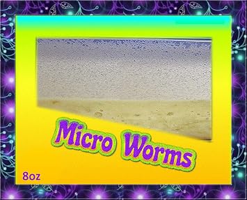 Micro Worm Culture, 8 oz