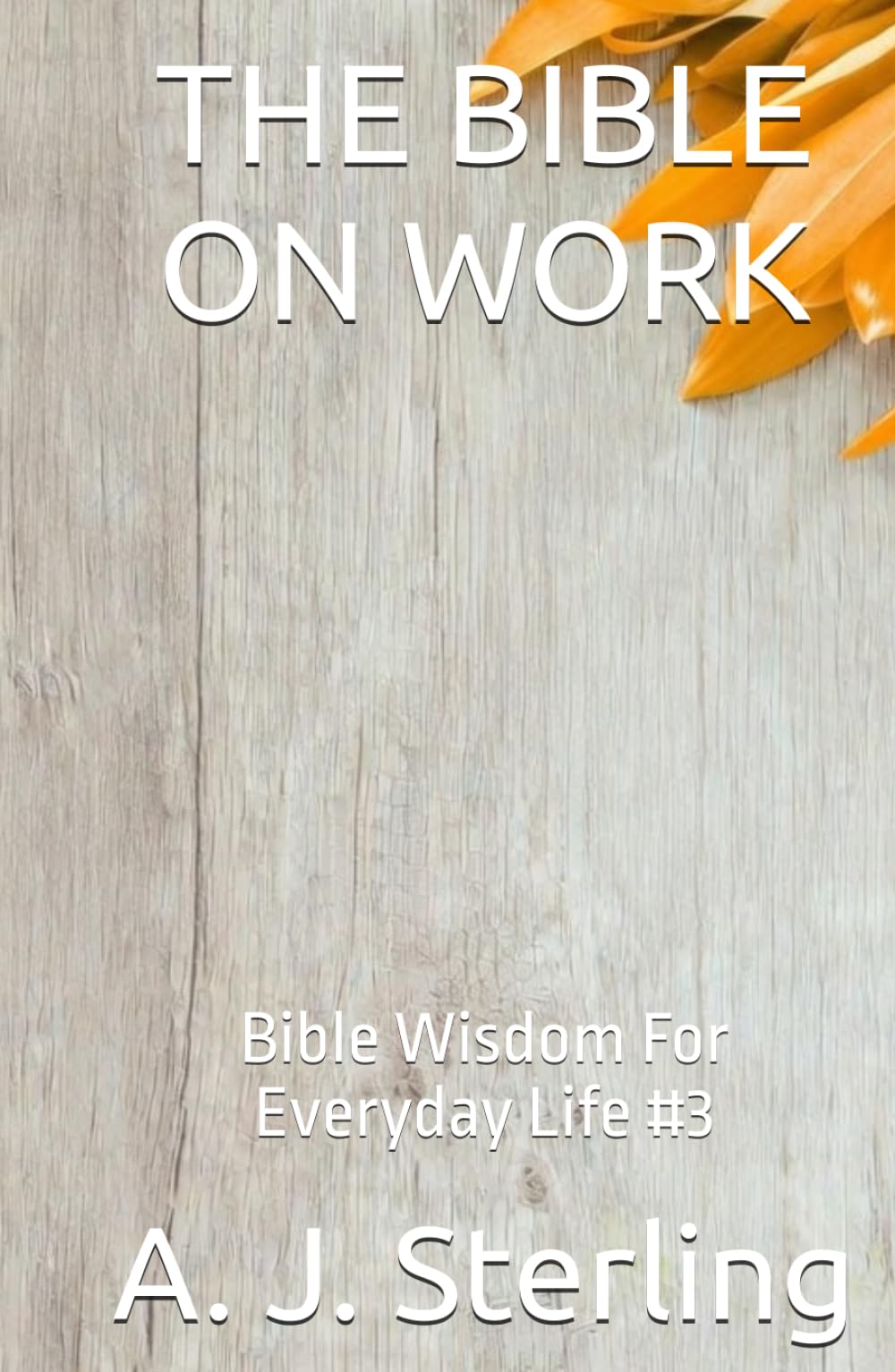 THE BIBLE ON WORK: Bible Wisdom For Everyday Life #3