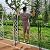 Heavy Duty Steel Garden Arbor & Trellis Arch for Grape Vines Climbing Plants Pergola Outdoor Theme Decoration Archway 180cm 260cm 340cm 140cm (Color : Black, Size : 71" W x 91" H)