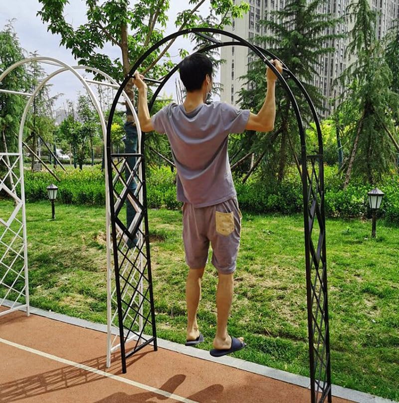 Arche De Jardin En Métal Noir - 100 Cm Large, 220 Cm Haut - Pour Plantes Grimpantes (roses, Vignes) - Pergola Extérieure Résistante - 3