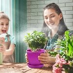 Tosnail 24 Pack 3.75" Small Plastic Plant Flower Pot with Saucers, Seedlings Nursery Pots Planter with Pallet Planting Gardening Containers - Assorted 8 Colors