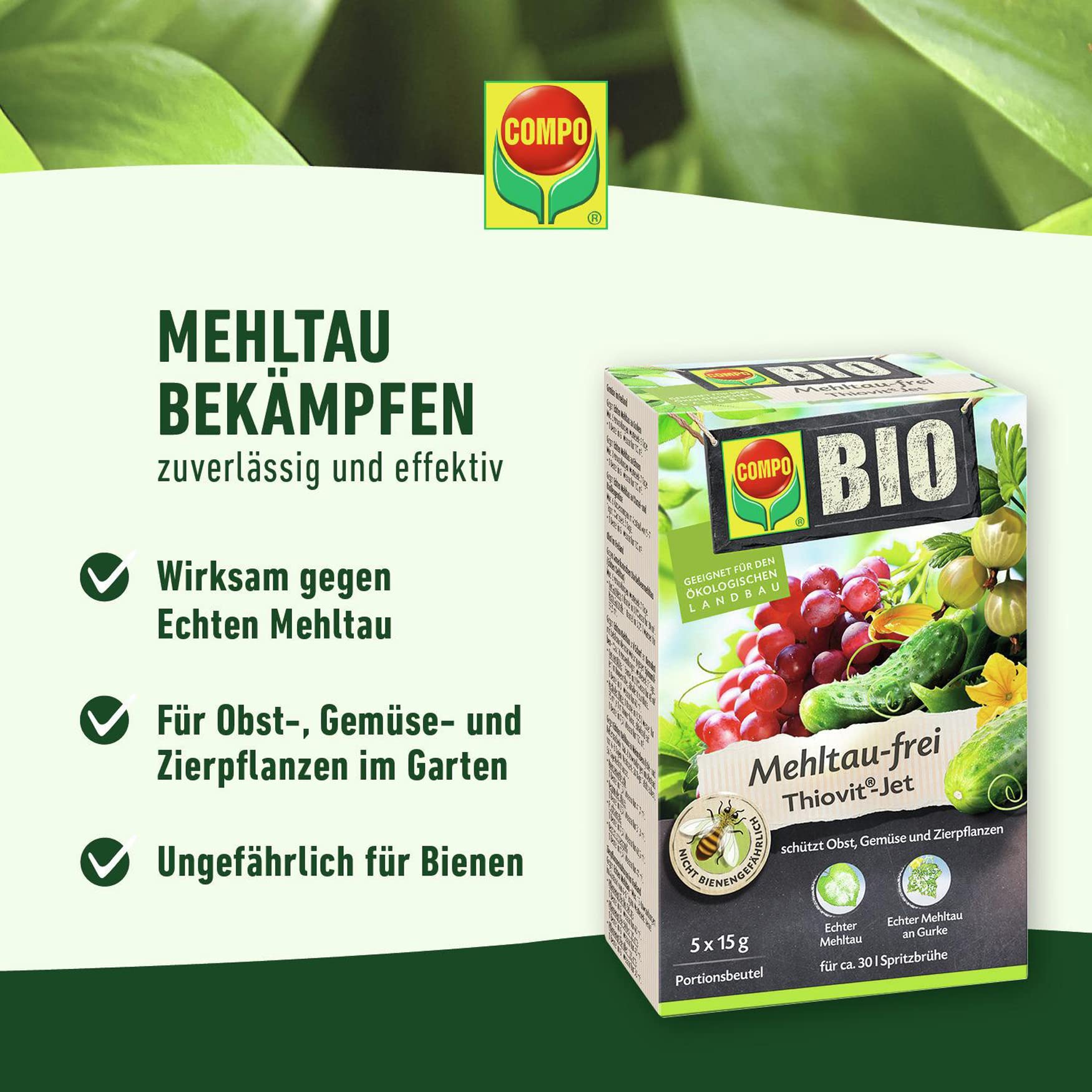 Compo Bio Mehltau-frei Thiovit Jet 75g : Amazon.de: Garten