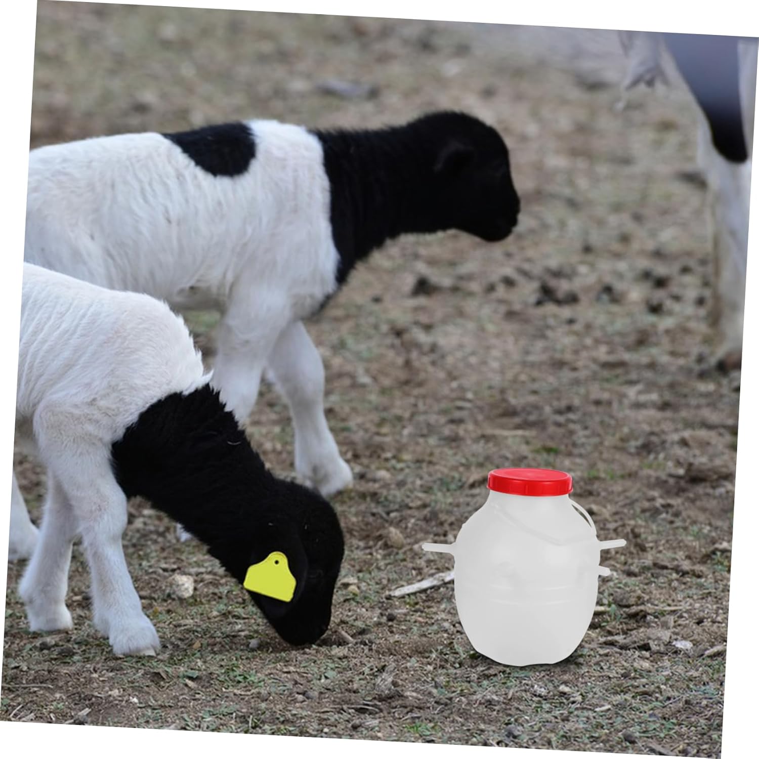 8l Livestock Milk Feeder Bottle Goat Milk Nipple for Newborn Animal Nursing