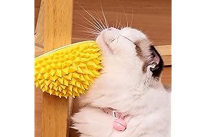 Purr-fect Durian Delight: Cat Self Groomer and Scratcher