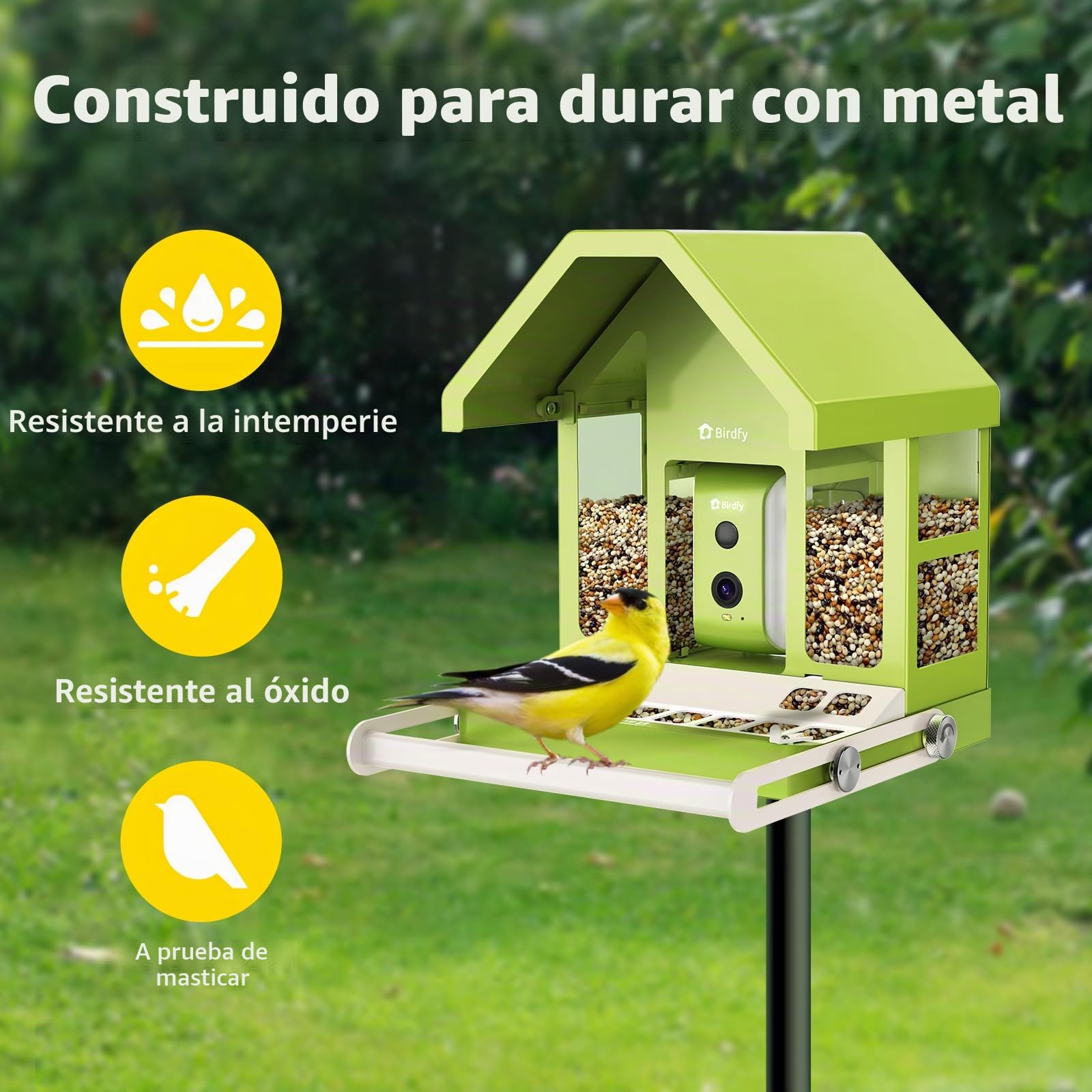 Birdfy Metal Comederos para Pajaros con Camara para Observación de Aves en Vivo, 1080P inalámbrico Bird Feeder con Visión Nocturna en Color, Notificaciones en Tiempo Real, Grabación Automática