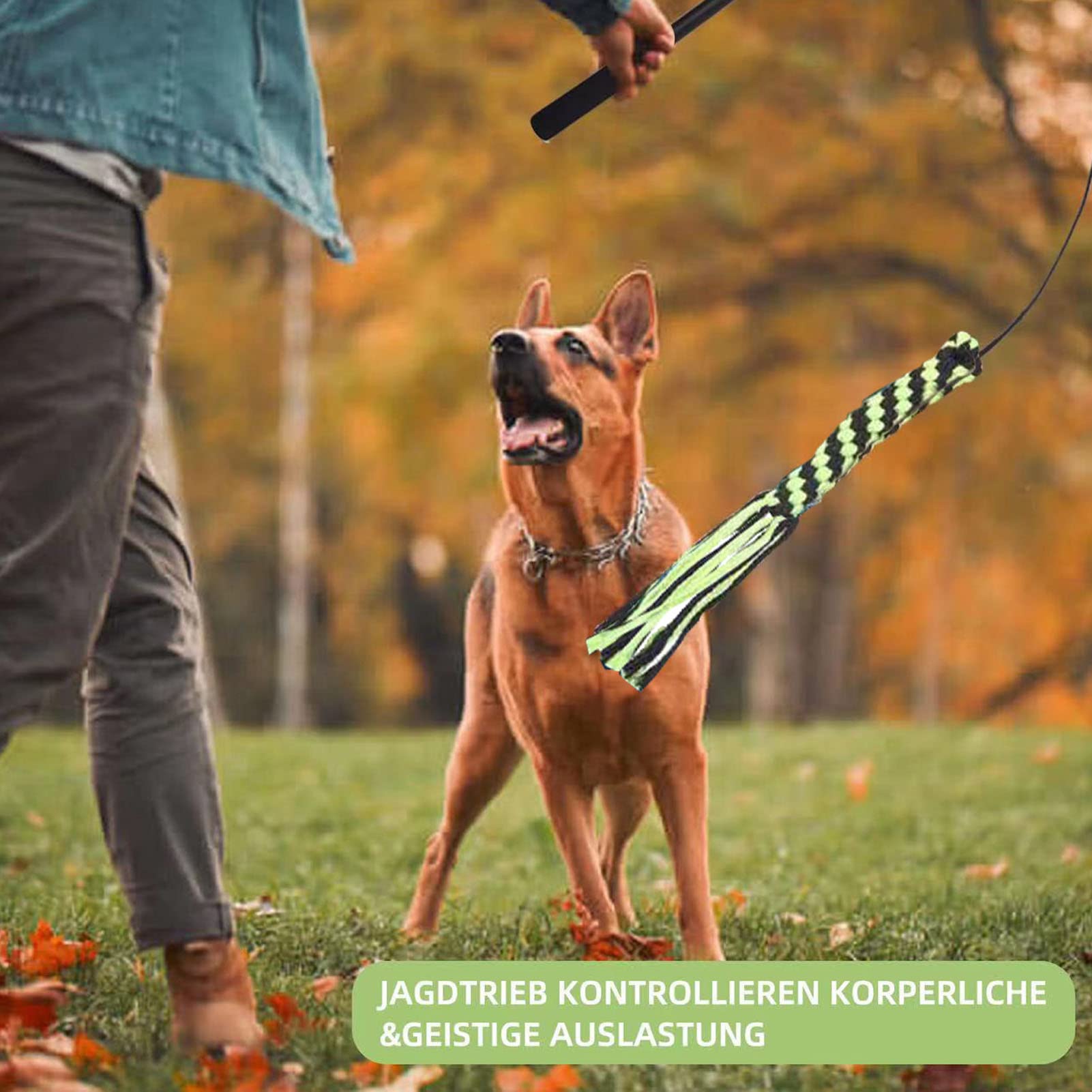 Flirt, zabawka dla małych i średnich psów, wysuwany kij do flirtu dla zwierząt domowych z elastycznym sznurkiem, dla psów na zewnątrz, zwinność, ćwiczenia i trening