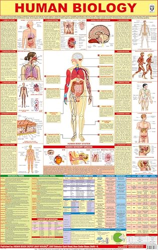 All in one Human Biology Chart | Laminated | Useful in School, classroom, home learning and for Exam preparation such as NEET | It includes Digestive, Reproductive, Muscular, Respiratory, Systems etc