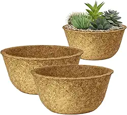 Kit 2 Vaso Cuia Natural Xaxim de Fibra de Coco 19x12cm Ecológico Pequeno Único Para Planta Suculenta Cacto e Rosa do Deserto