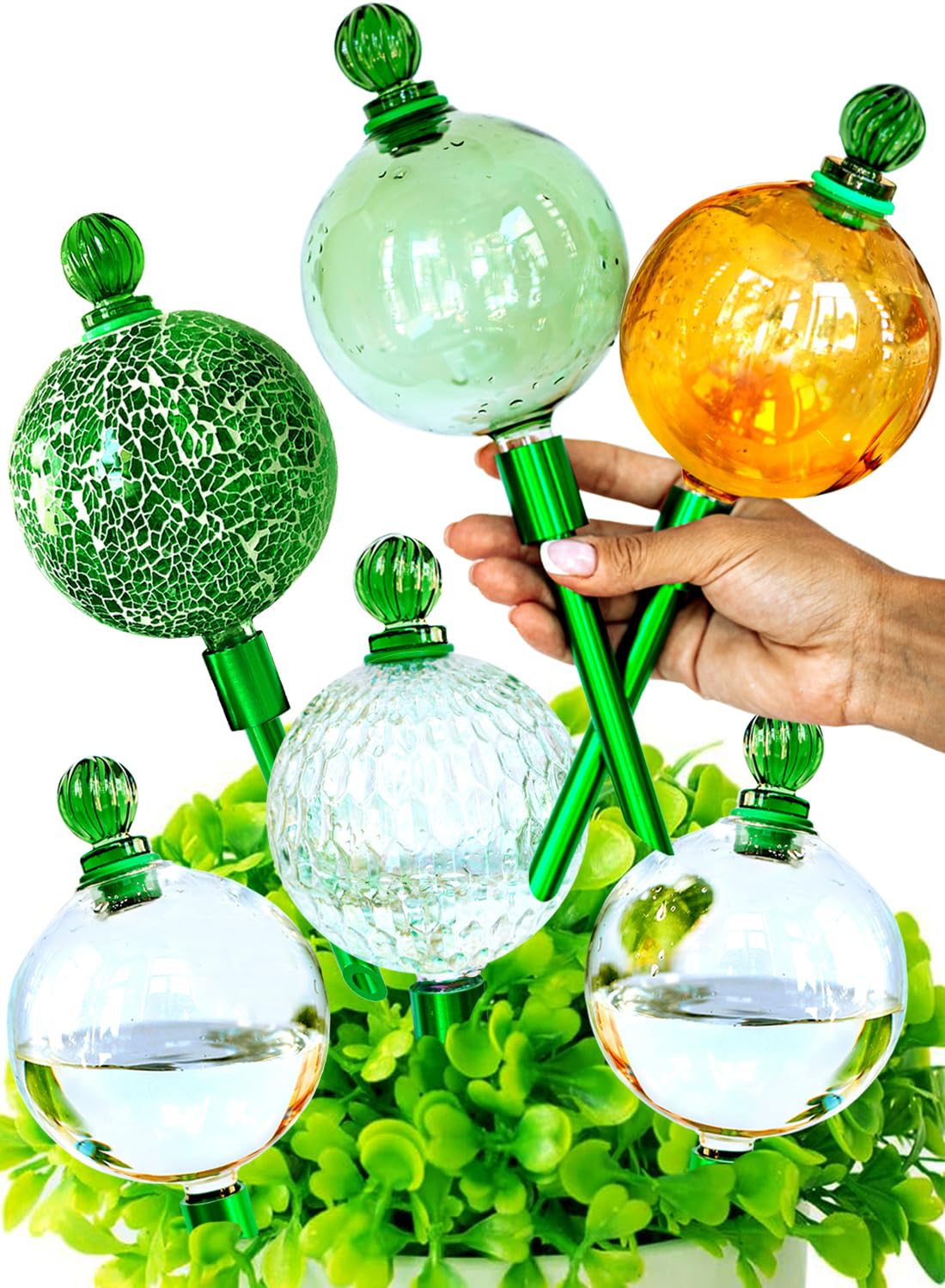 Plant Watering Globes XL With Metal Self Watering Planter Insert - Premium 16 Oz Glass Self Watering Globes Hand-blown For Indoor Plants - Automatic Plant Waterer Gift Idea For Gardeners (6 Globes)