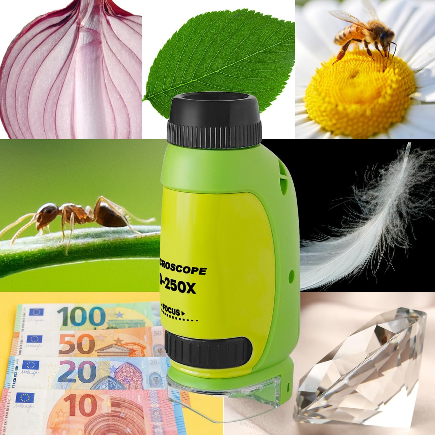 50X-250X Mini Microscope de Poche, Microscope pour Adultes Enfant, avec Adaptateur téléphonique, Pince à épiler (Vert&Jaune)