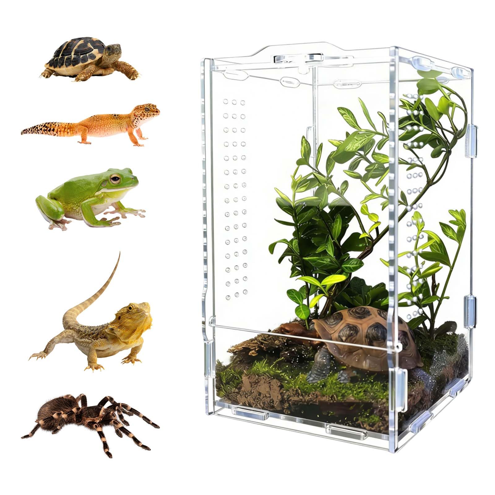 Terrario per rettili, 11x12x20 cm, Serbatoio per rettili, Recinzione in acrilico, Vivarium acrilico trasparente,adatto per contenitori per rettili e anfibi