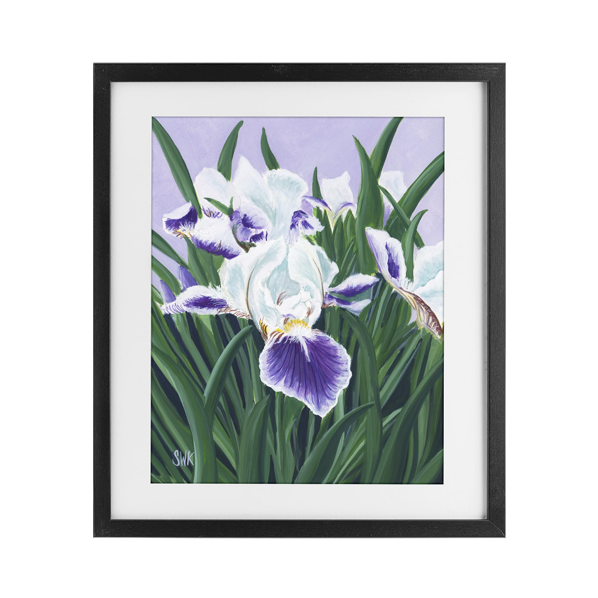 Stupell Industries Midnight Black (Textured) 'Purple & White Irises'| Framed Print Under Glass