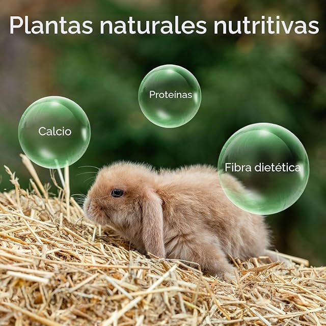 Foto 2 de 7 de Nobleza - (2 * 2.5kg Heno para Conejos, Comida Premium para Conejos Adultos, Alimento con Fibra Desgaste…