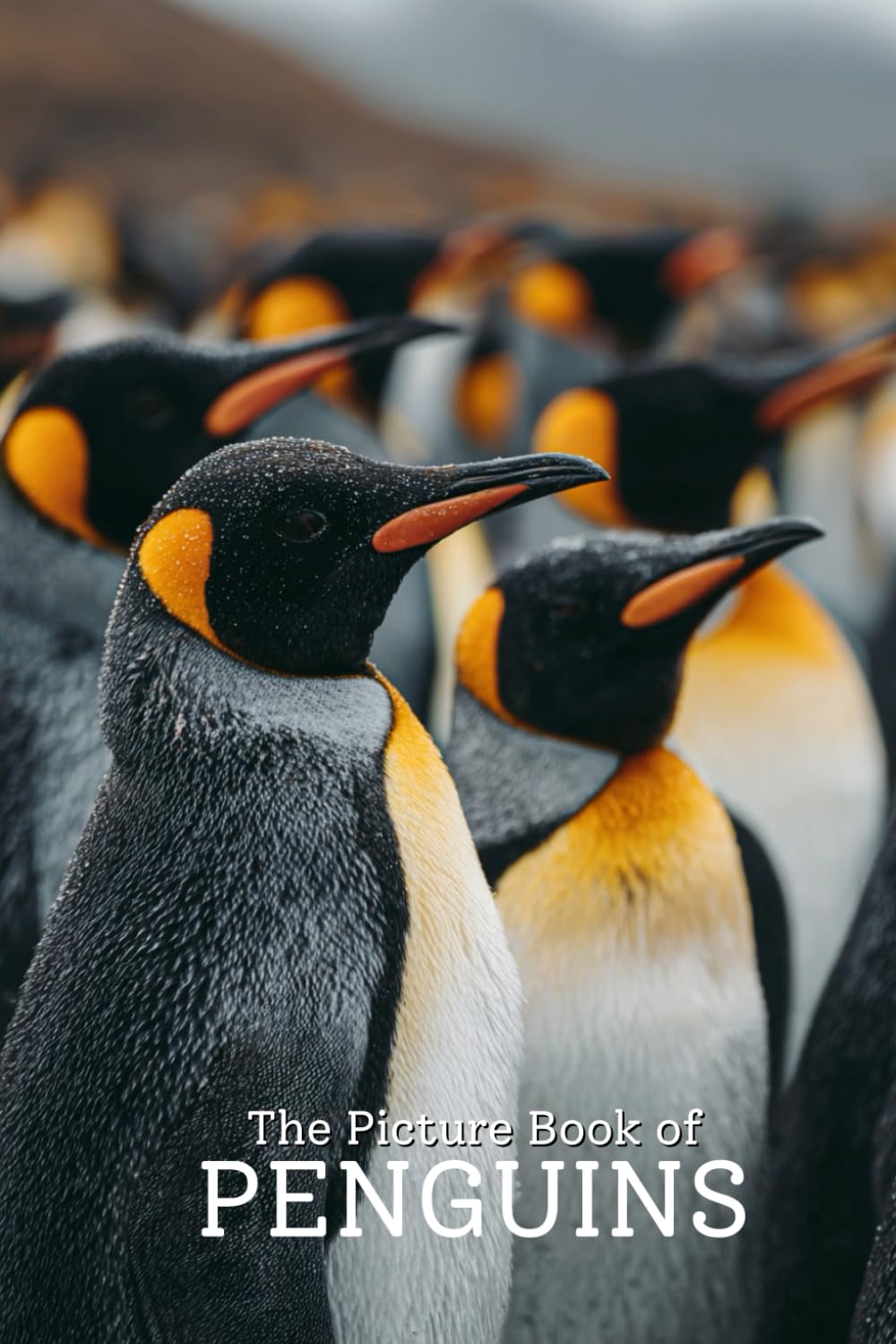 The Picture Book of Penguins | Stunning Photo-Realistic Images of Penguins from Around the World: A Premium 6x9 Inch Picture Book Featuring Lifelike ... for Wildlife Lovers and Nature Enthusiasts