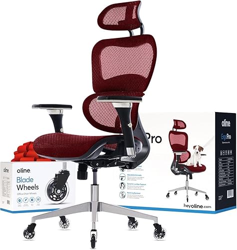 Oline ErgoPro - Silla de oficina ergonómica con reposabrazos ajustable 4D, soporte lumbar 3D y ruedas de cuchilla, escritorio giratorio ejecutivo